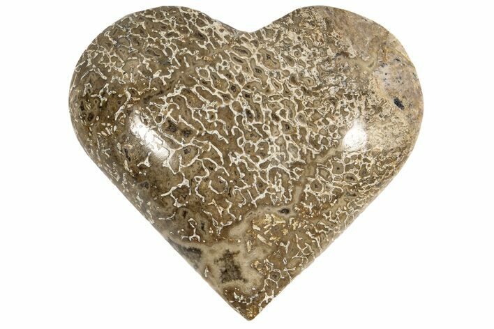Polished Dinosaur Bone (Gembone) Heart - Morocco #189811